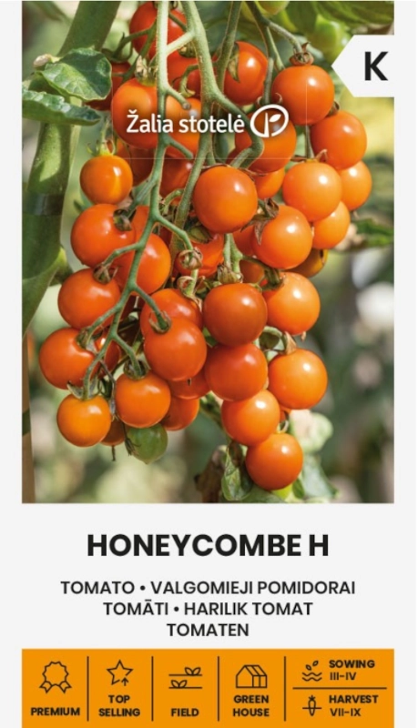 Pomidor Honeycombe H o bardzo licznych owocach zebranych w grona nasiona Žalia stotelė sklep rajogrodnika